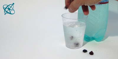 Sciensation hands-on experiment for school: Raising raisins  ( chemistry, catalysis, carbon dioxide, carbon acid, equilibrium)