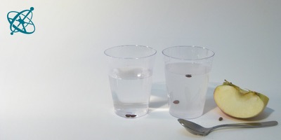 Sciensation hands-on experiment for school: Floating seeds ( chemistry, density, solution)